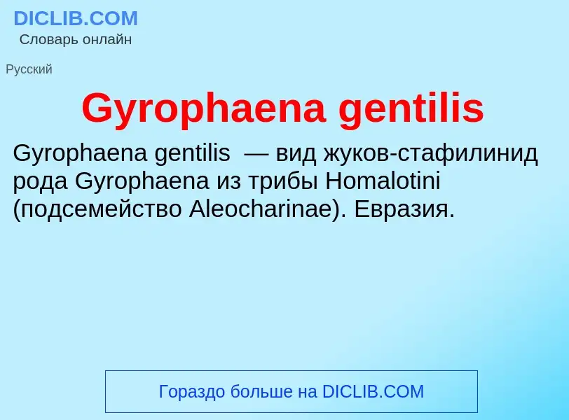 What is Gyrophaena gentilis - meaning and definition