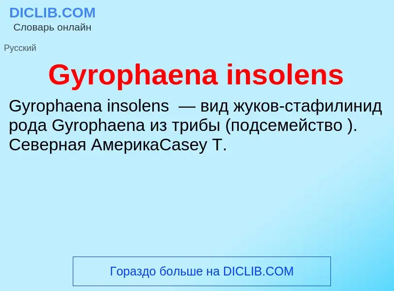 Was ist Gyrophaena insolens - Definition