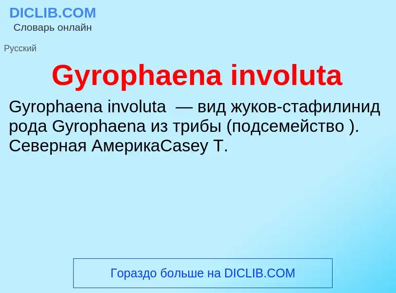 Что такое Gyrophaena involuta - определение