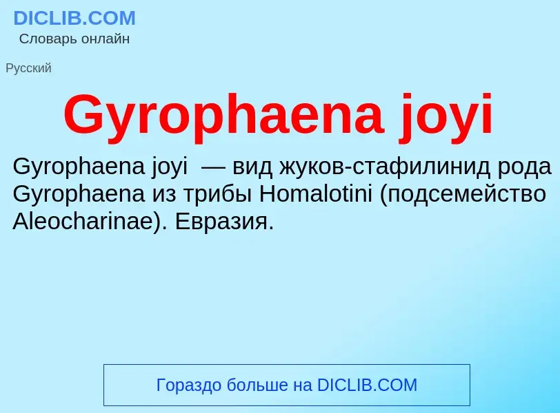 What is Gyrophaena joyi - meaning and definition