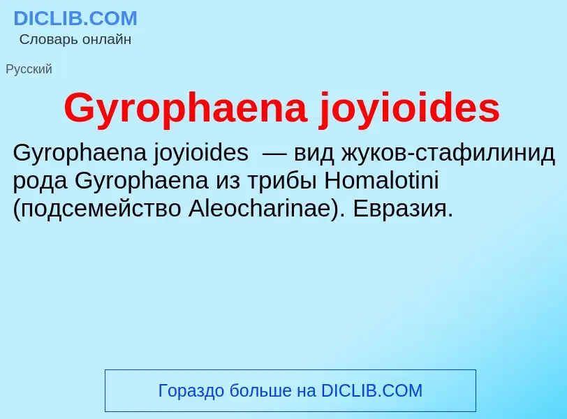 Was ist Gyrophaena joyioides - Definition