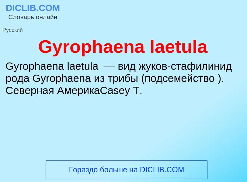 Что такое Gyrophaena laetula - определение