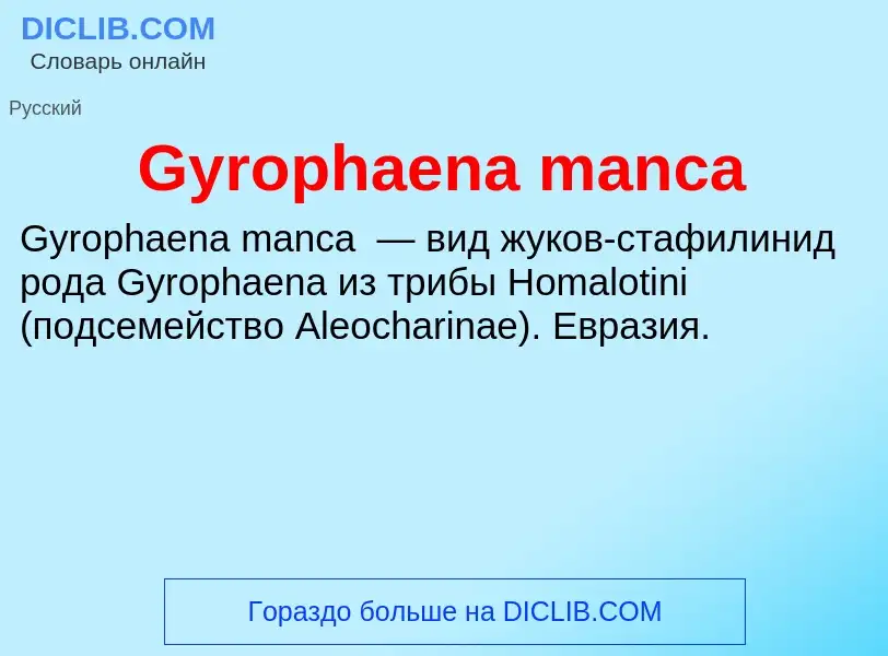 Что такое Gyrophaena manca - определение