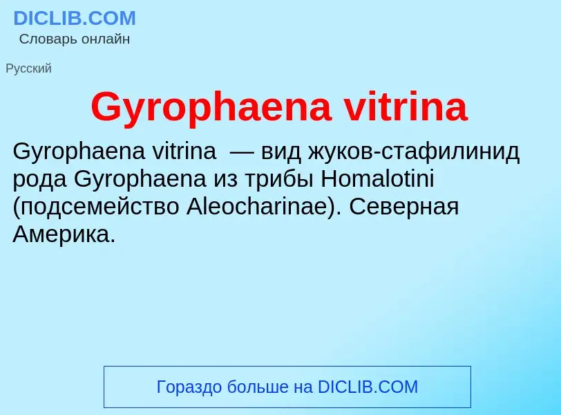 Что такое Gyrophaena vitrina - определение