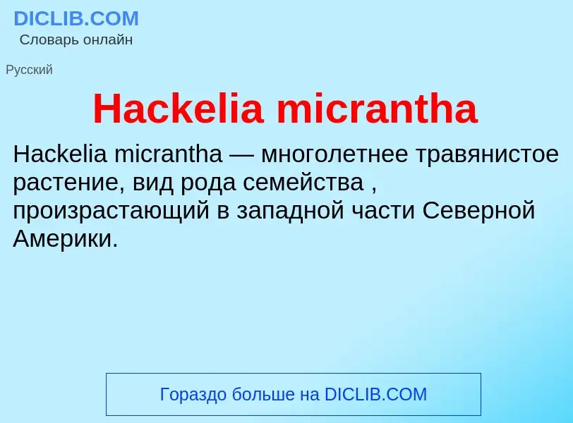 What is Hackelia micrantha - meaning and definition