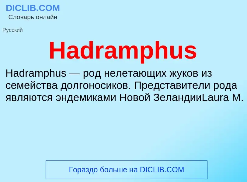 What is Hadramphus - definition