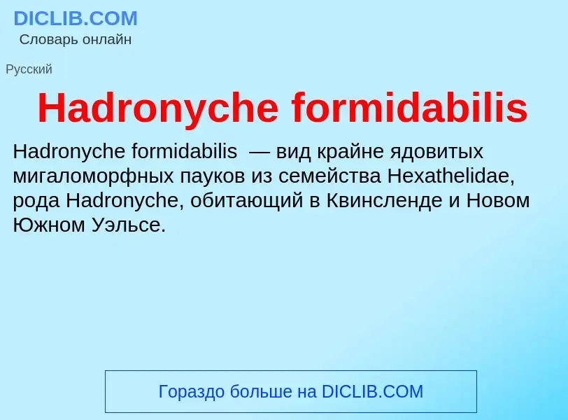 What is Hadronyche formidabilis - meaning and definition