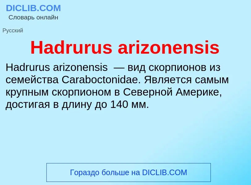 What is Hadrurus arizonensis - meaning and definition