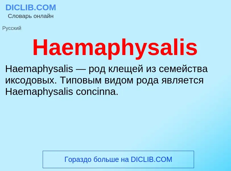 What is Haemaphysalis - definition