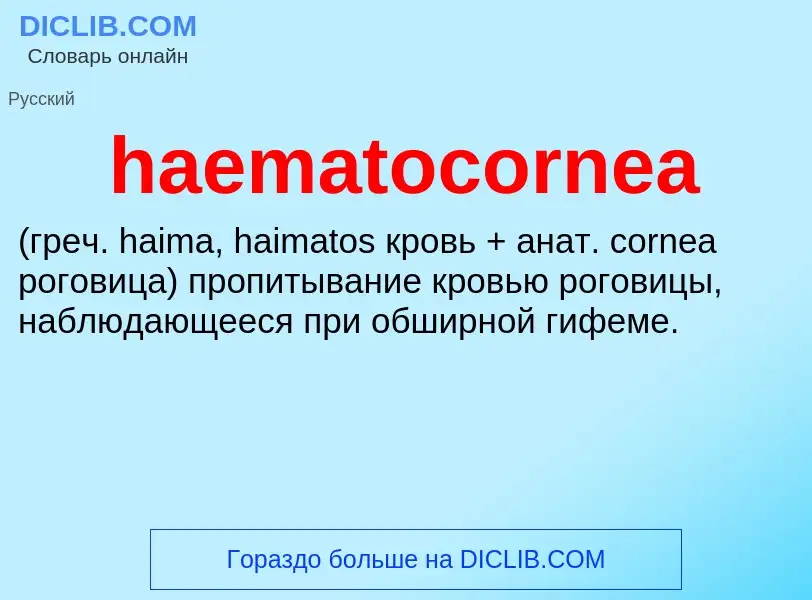 Что такое haematocornea  - определение