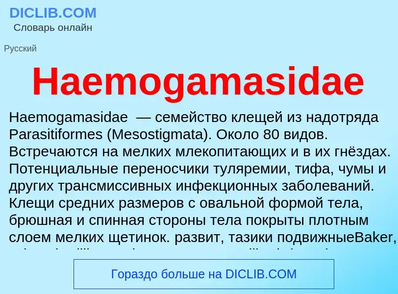 What is Haemogamasidae - meaning and definition