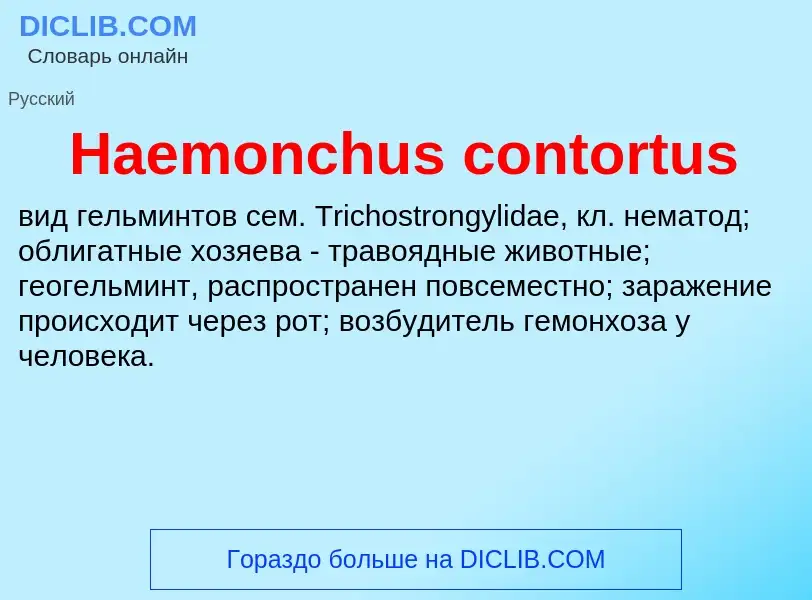 What is Haemonchus contortus - meaning and definition