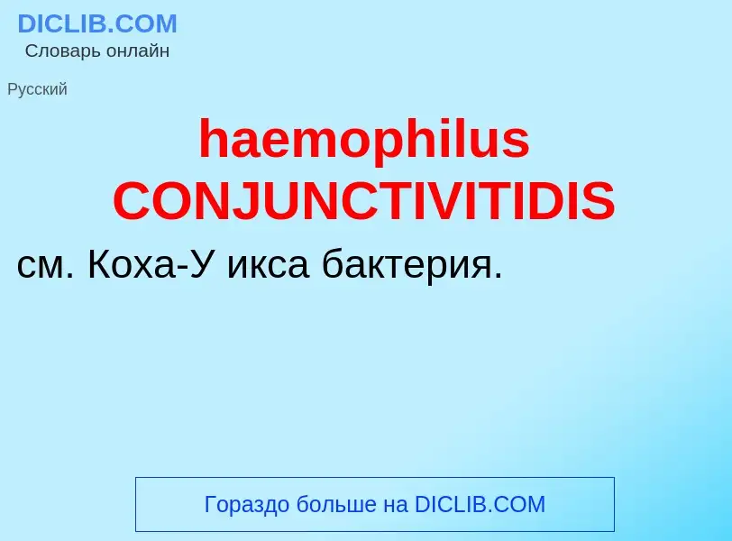 Что такое haemophilus CONJUNCTIVITIDIS - определение