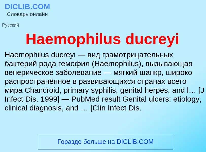 What is Haemophilus ducreyi - meaning and definition