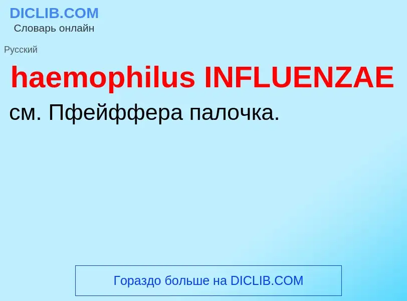 Что такое haemophilus INFLUENZAE - определение