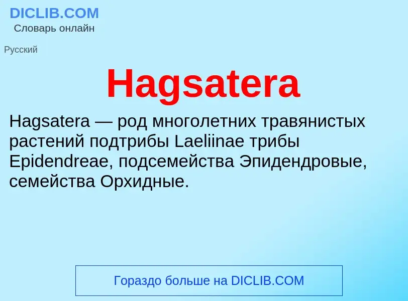 What is Hagsatera - meaning and definition