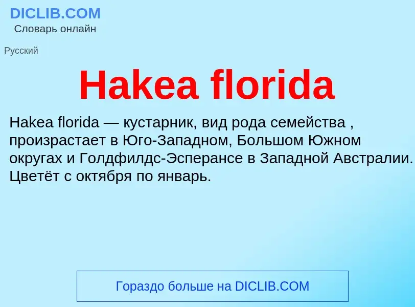 What is Hakea florida - meaning and definition