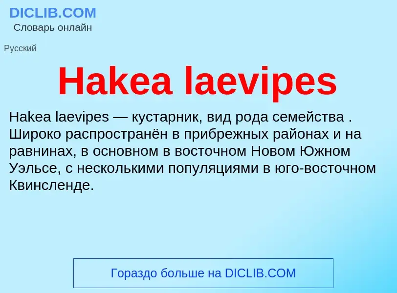 What is Hakea laevipes - meaning and definition