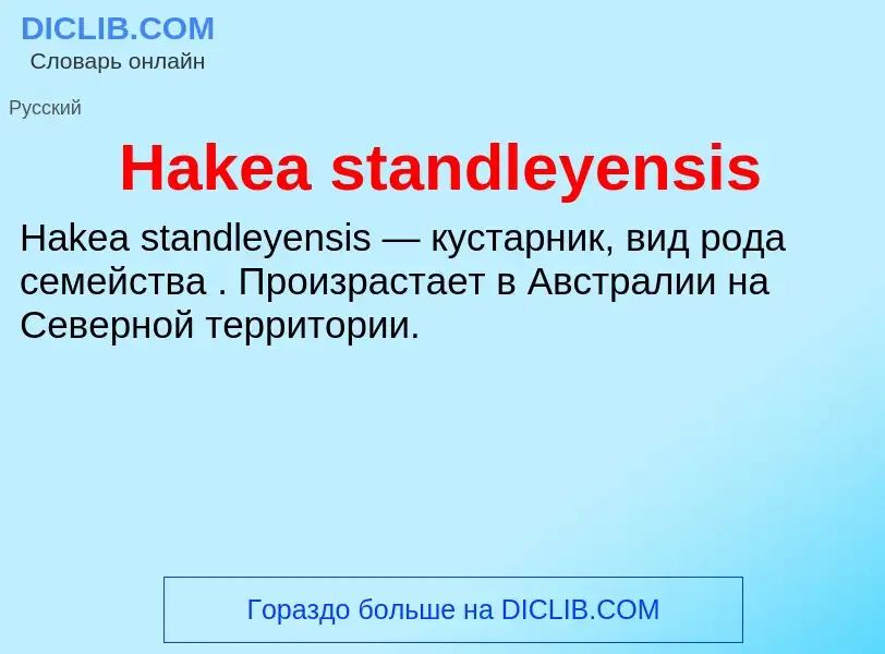 What is Hakea standleyensis - meaning and definition