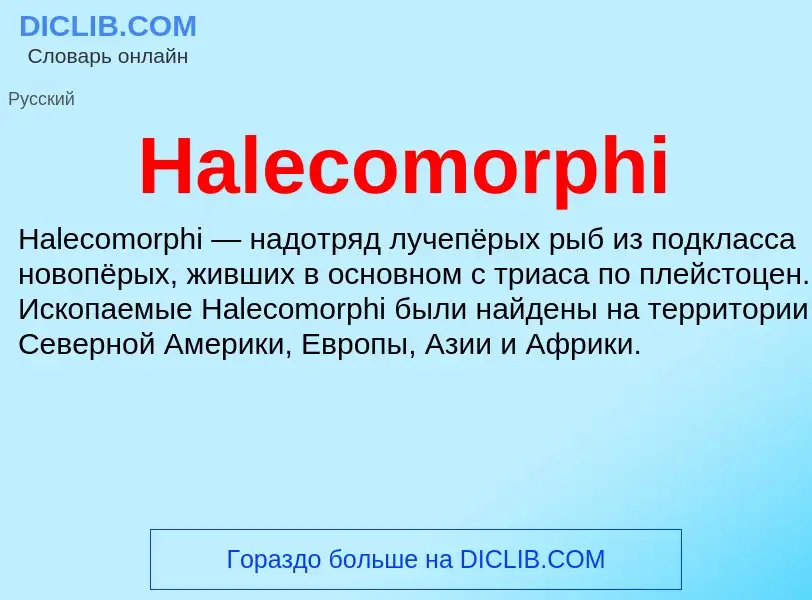 What is Halecomorphi - meaning and definition