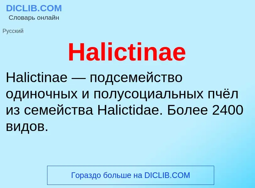 What is Halictinae - meaning and definition