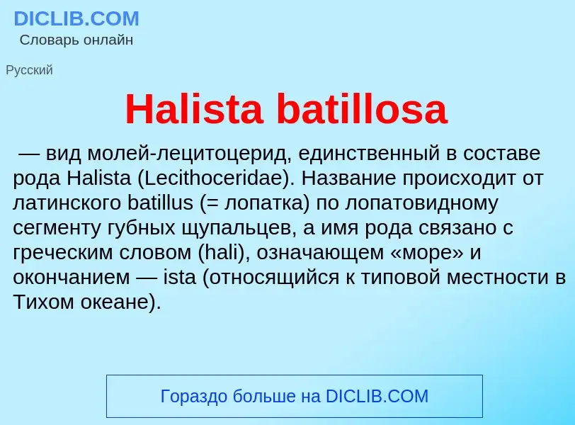 What is Halista batillosa - meaning and definition