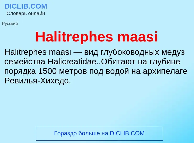 What is Halitrephes maasi - meaning and definition