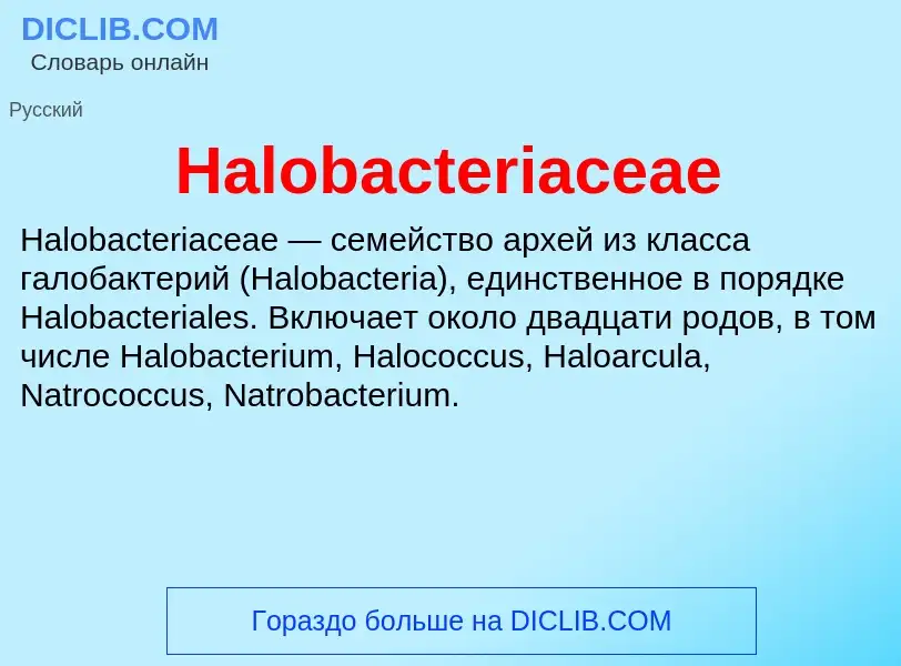 What is Halobacteriaceae - meaning and definition