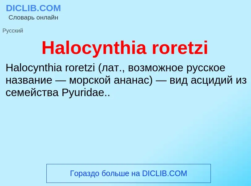 What is Halocynthia roretzi - meaning and definition