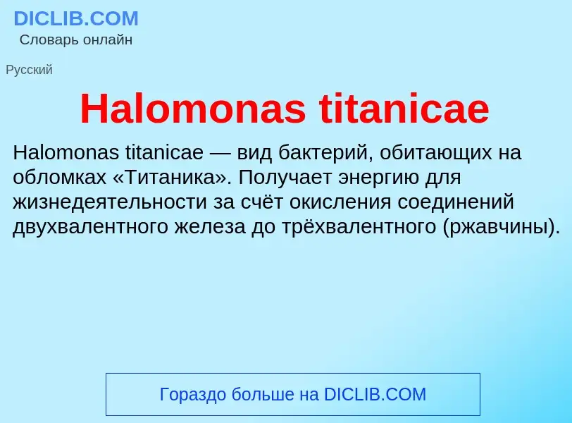 What is Halomonas titanicae - meaning and definition