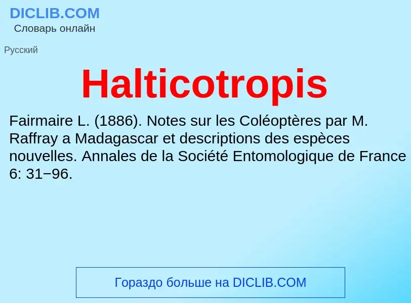 What is Halticotropis - meaning and definition