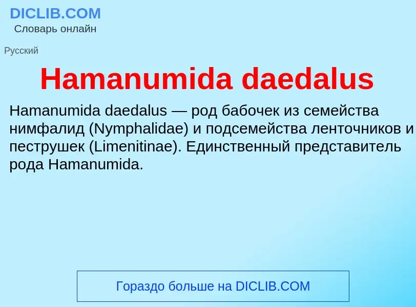 What is Hamanumida daedalus - meaning and definition