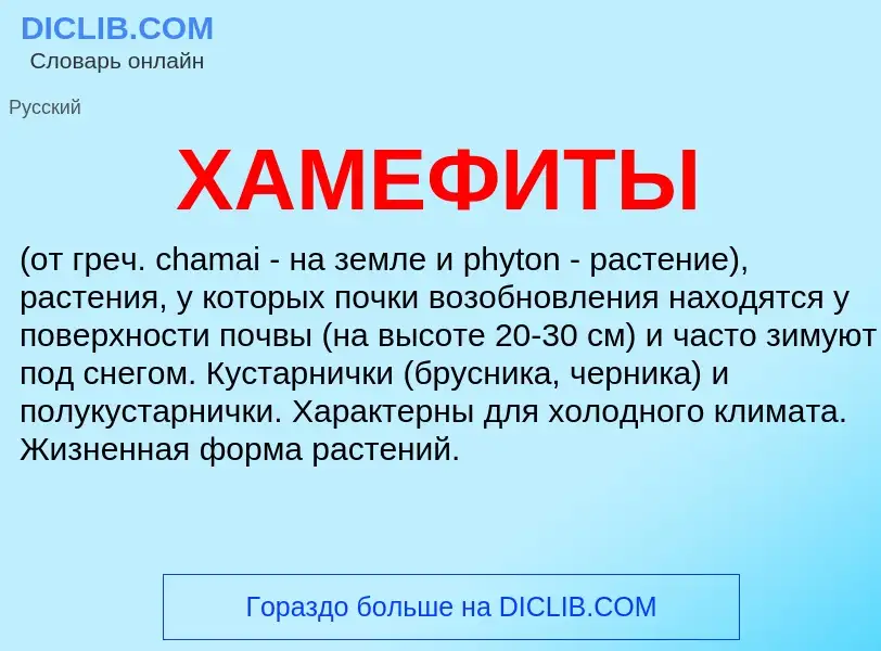 What is ХАМЕФИТЫ - definition