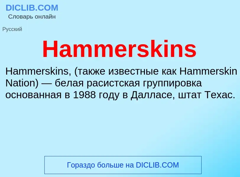 What is Hammerskins - meaning and definition