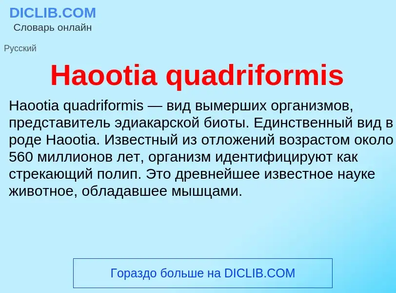 What is Haootia quadriformis - meaning and definition