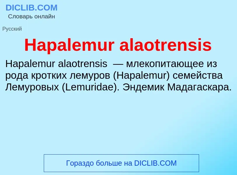 What is Hapalemur alaotrensis - meaning and definition