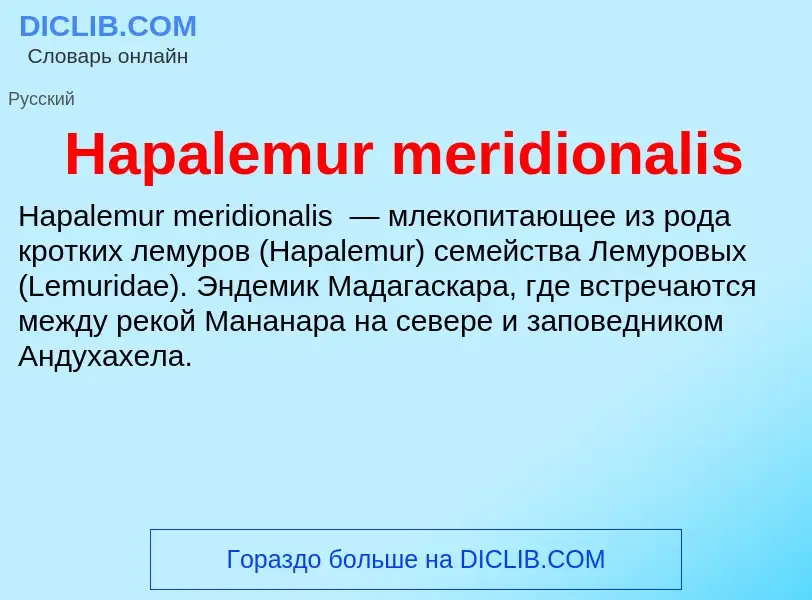 What is Hapalemur meridionalis - meaning and definition