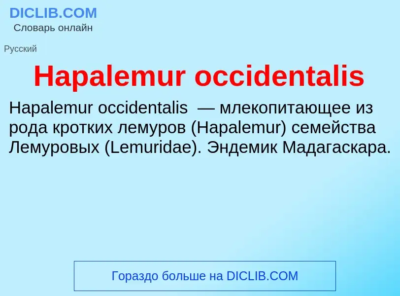 What is Hapalemur occidentalis - meaning and definition