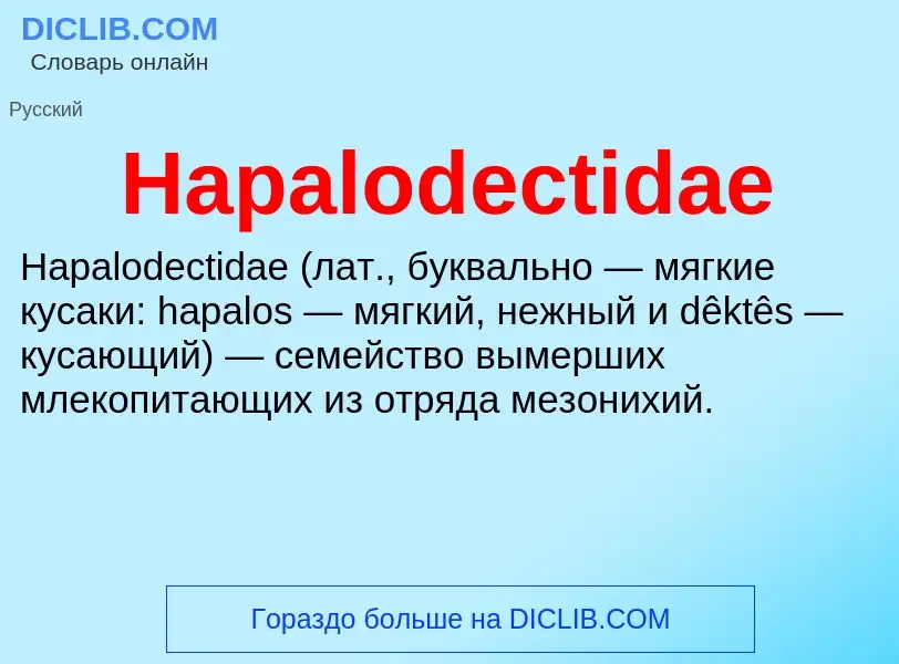 What is Hapalodectidae - meaning and definition