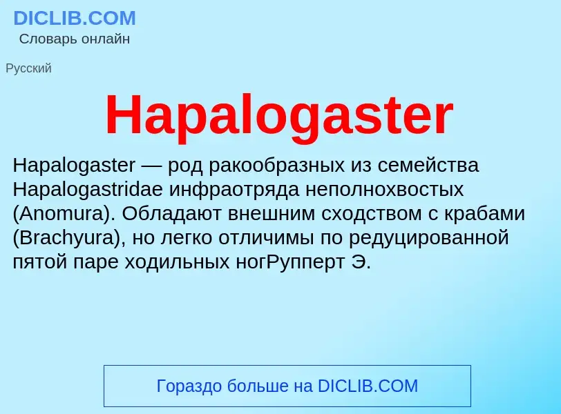 What is Hapalogaster - meaning and definition