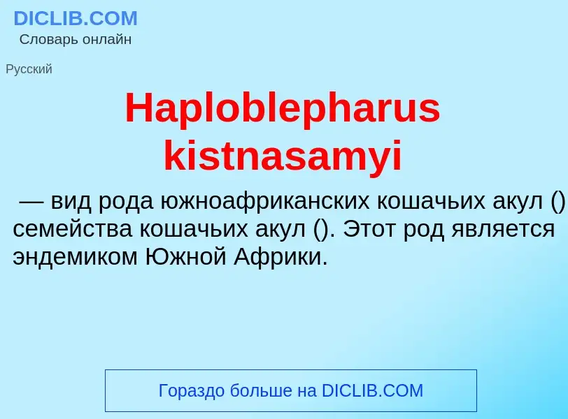 What is Haploblepharus kistnasamyi - meaning and definition