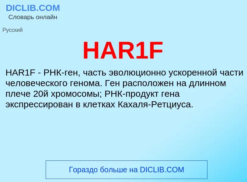 Что такое HAR1F - определение