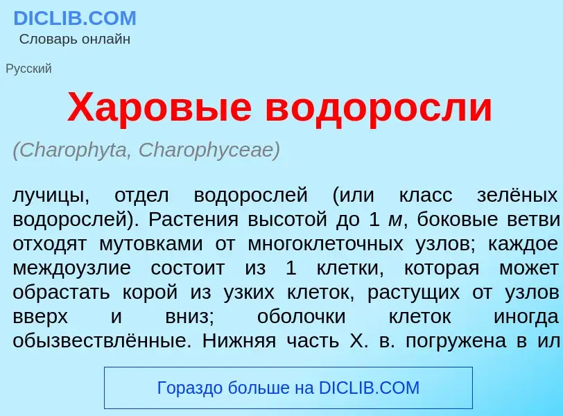 What is Х<font color="red">а</font>ровые в<font color="red">о</font>доросли - meaning and definition