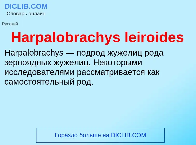 What is Harpalobrachys leiroides - meaning and definition