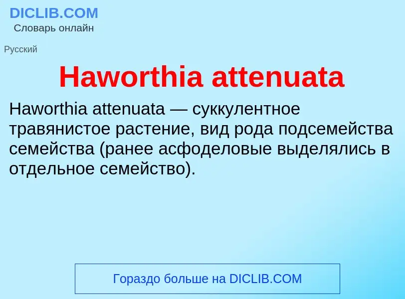 What is Haworthia attenuata - meaning and definition