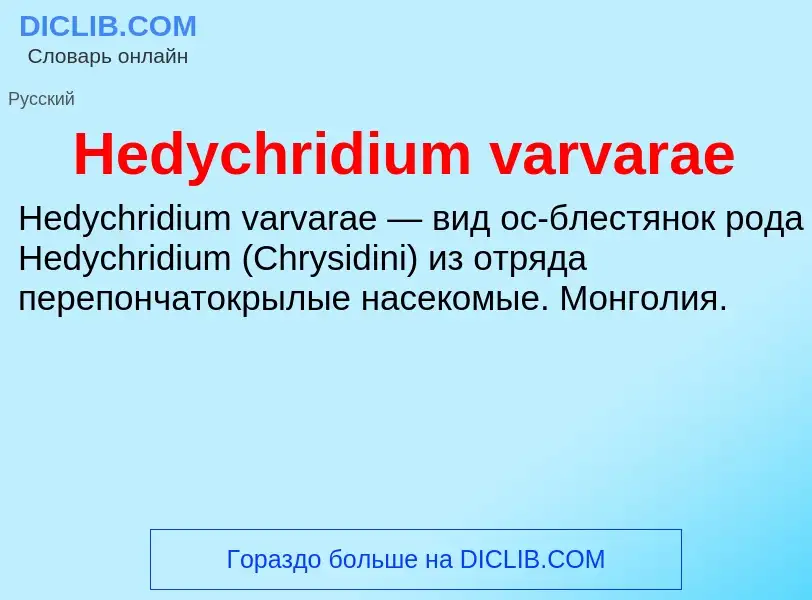 What is Hedychridium varvarae - meaning and definition