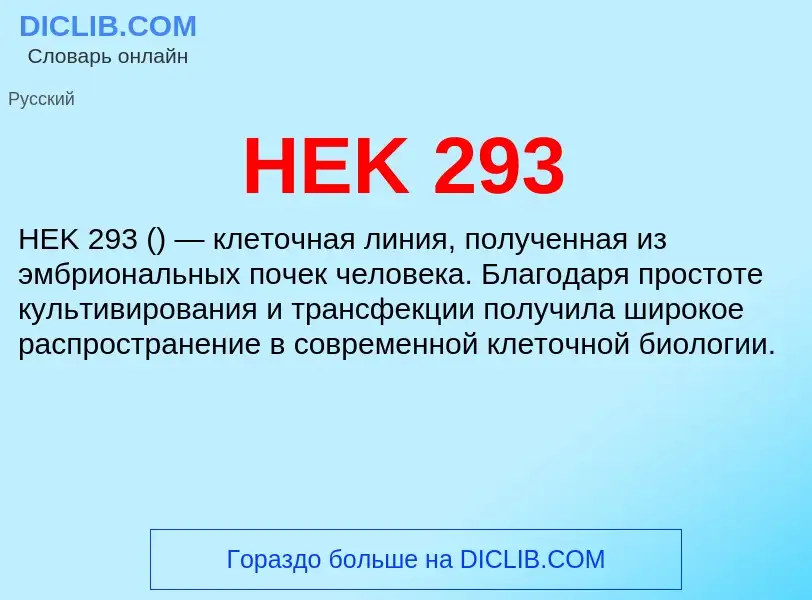 Что такое HEK 293 - определение