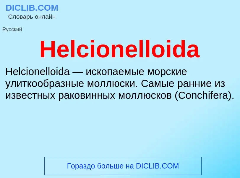 What is Helcionelloida - meaning and definition