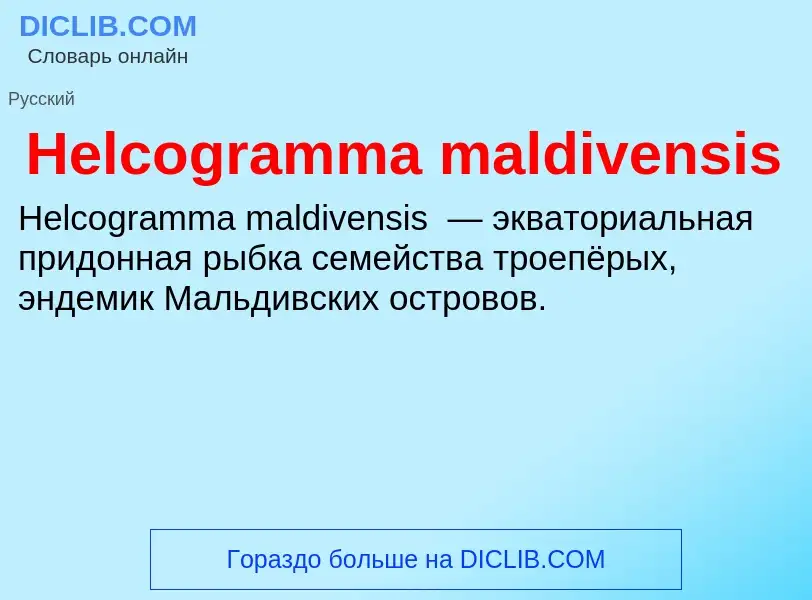 What is Helcogramma maldivensis - meaning and definition