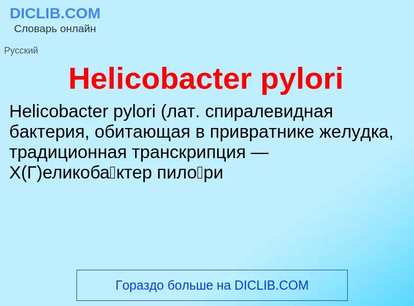 What is Helicobacter pylori - meaning and definition